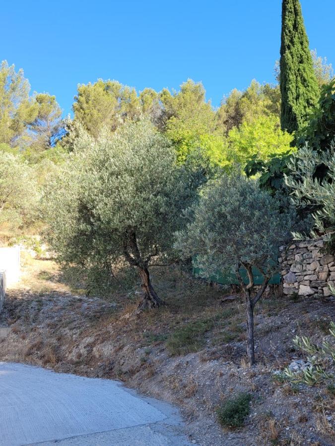 L'Oustau De Laetitia Animaux Bienvenus Villa Fontaine-de-Vaucluse Bagian luar foto