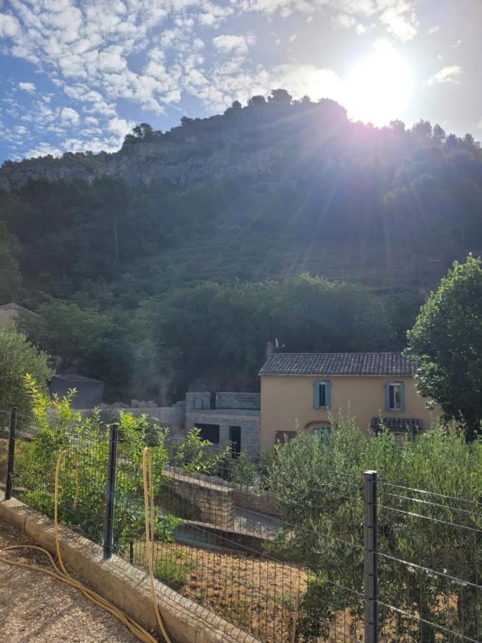 L'Oustau De Laetitia Animaux Bienvenus Villa Fontaine-de-Vaucluse Bagian luar foto
